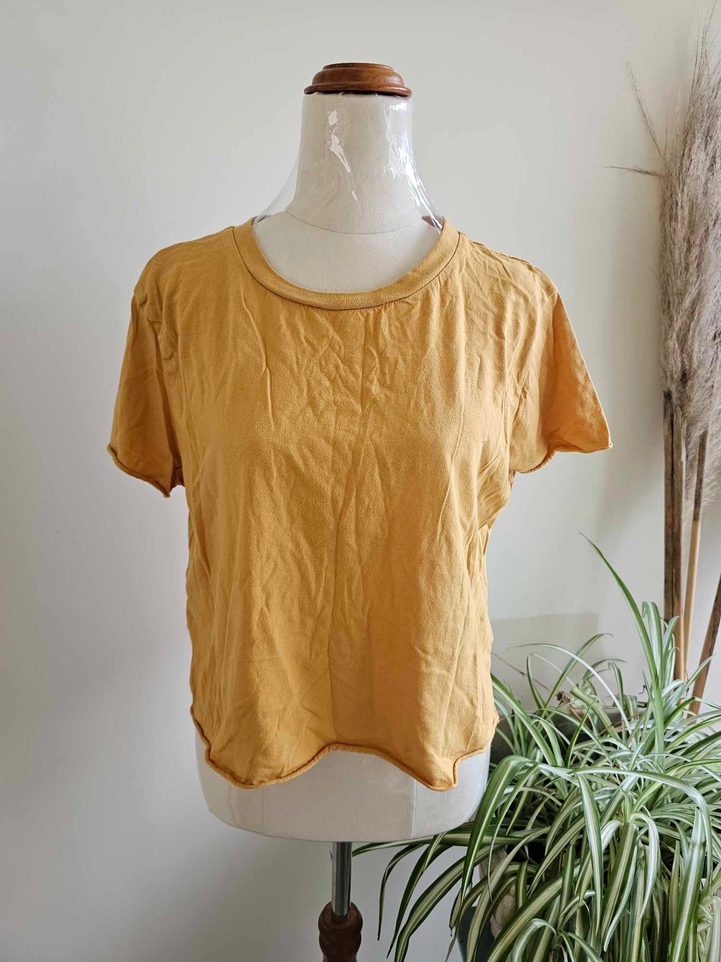 Glassons basic T-Shirt