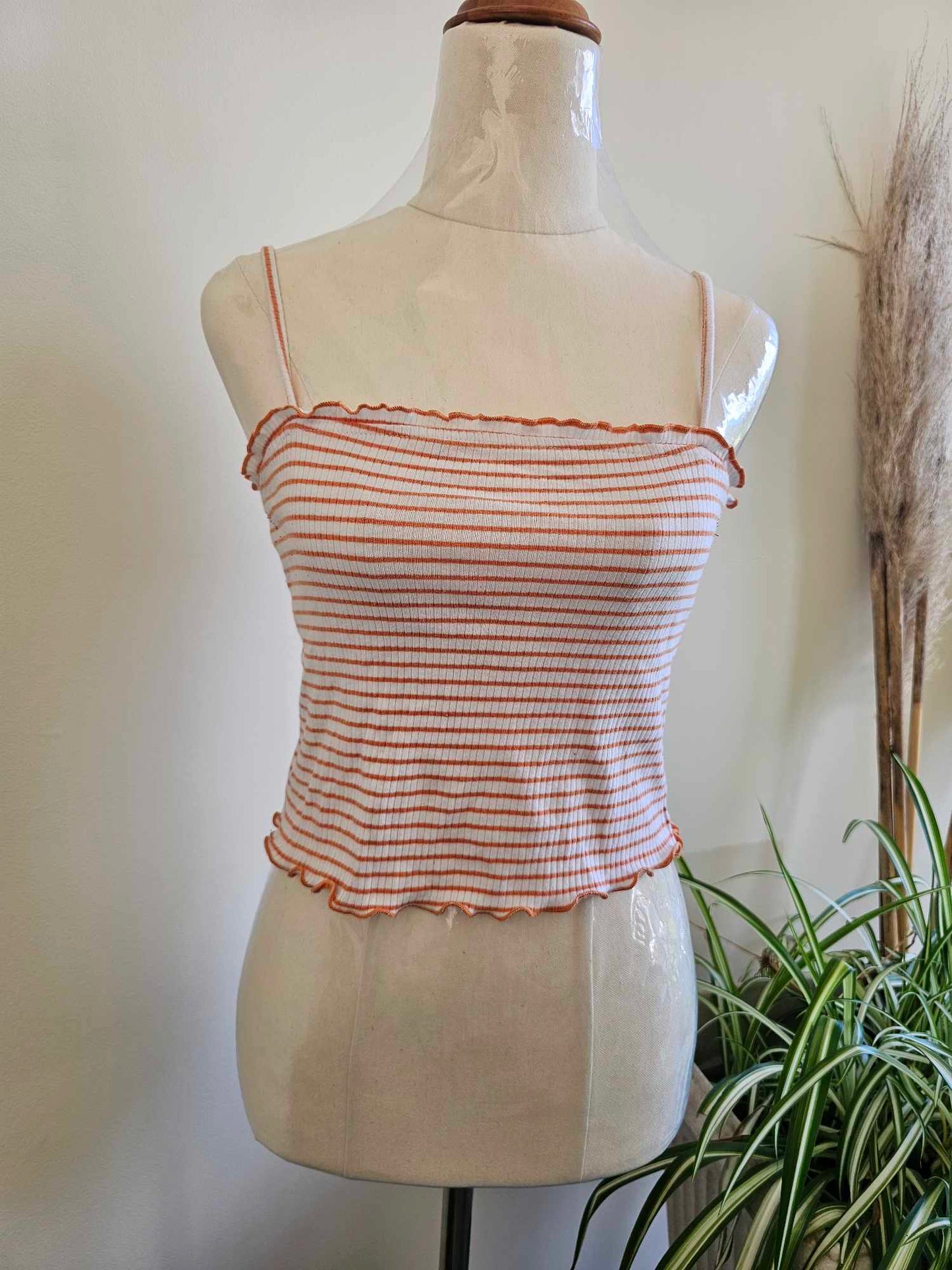 Glassons Crop Top