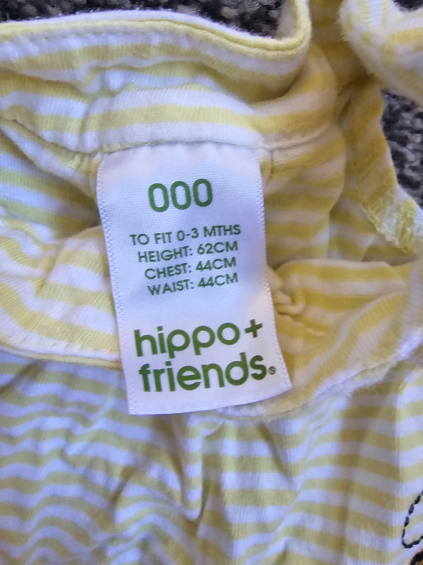 Hippo & Friends baby onesie
